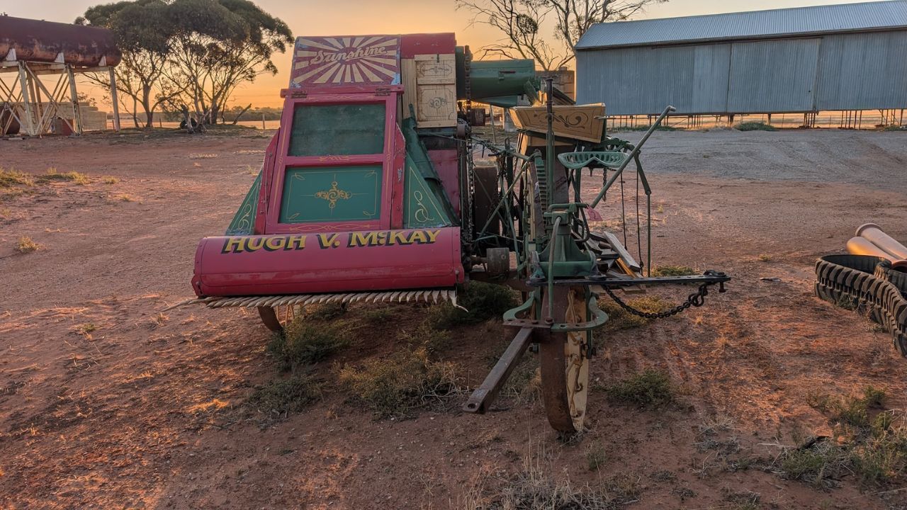 Hugh V. McKay Sunshine horse-drawn harvester at sunset on the Ward family farm, Bulga Road, Swan Hill